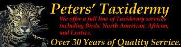 Peters' Taxidermy - We offer a full line of taxidermy services including Birds, North American, African, and Exotics. In Business for over 30 years! 